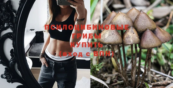 PSILOCYBIN Киреевск