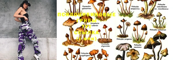 PSILOCYBIN Киреевск